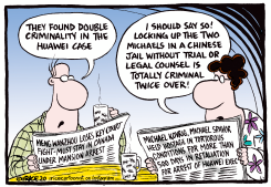 DOUBLE CRIMINALITY by Ingrid Rice