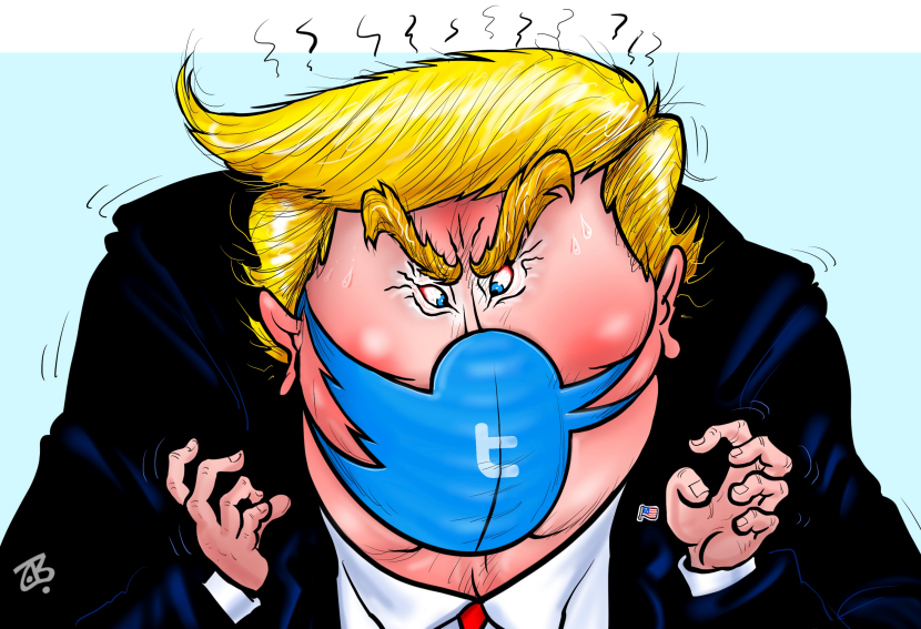 Twitter mask