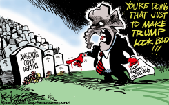 TRUMP LOOK BAD by Milt Priggee