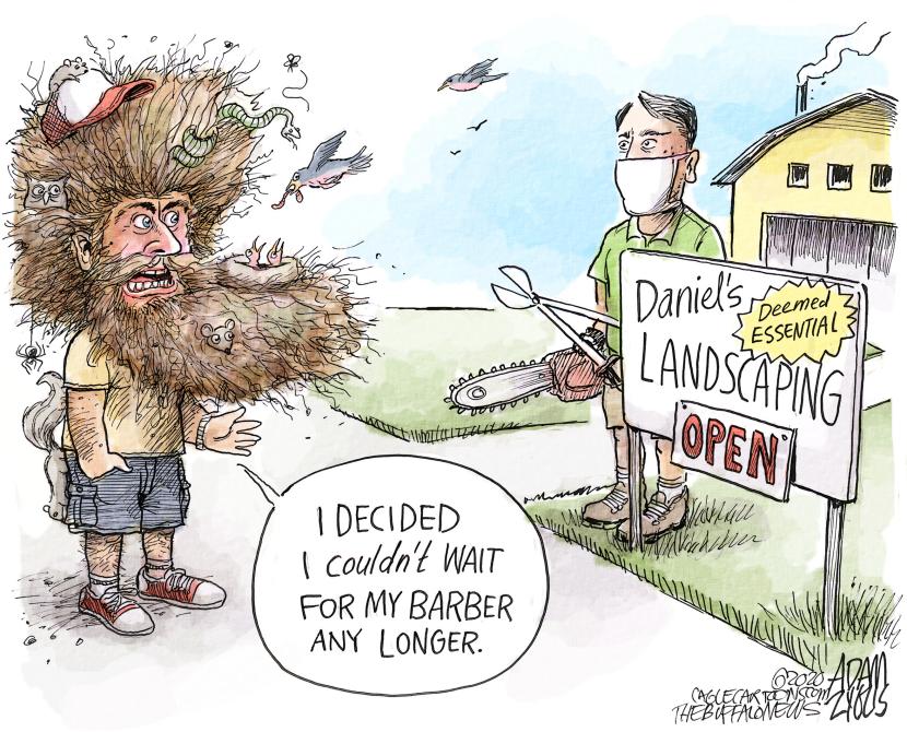 Quarantine hair