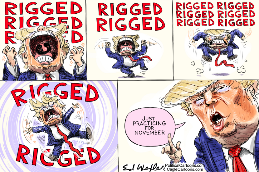 Rigged Election