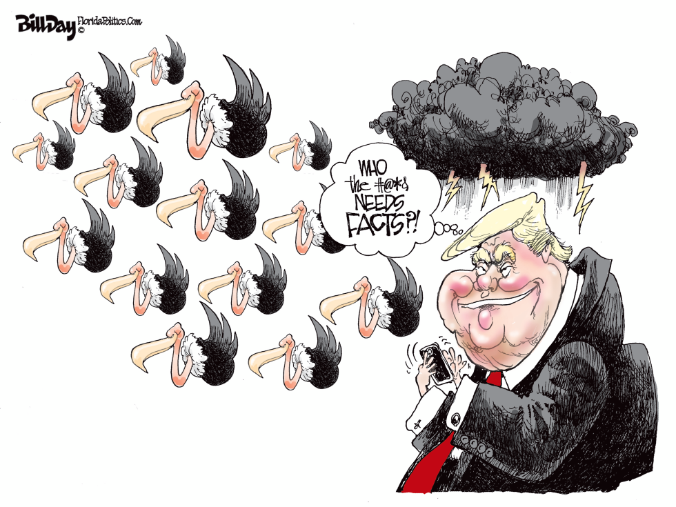 Trump's Tweets