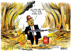 THE FIRESTARTER by Dave Whamond