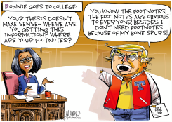 TRUMP CONSPIRACY THEORIES by Dave Whamond