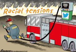 RACIAL TENSION ARSONIST by Steve Greenberg