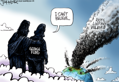 PROTESTS AND LOOTING by Joe Heller