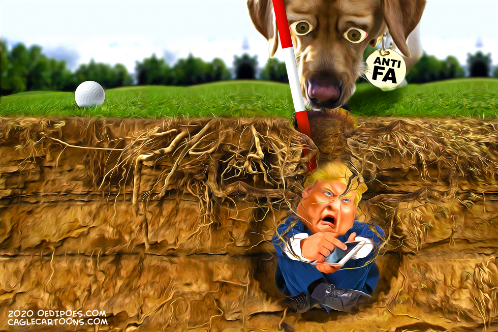 Bunker Boy