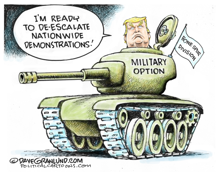 Military option for demonstrations