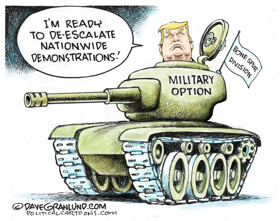 Military option for demonstrations