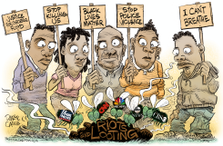 MEDIA FLIES  by Daryl Cagle