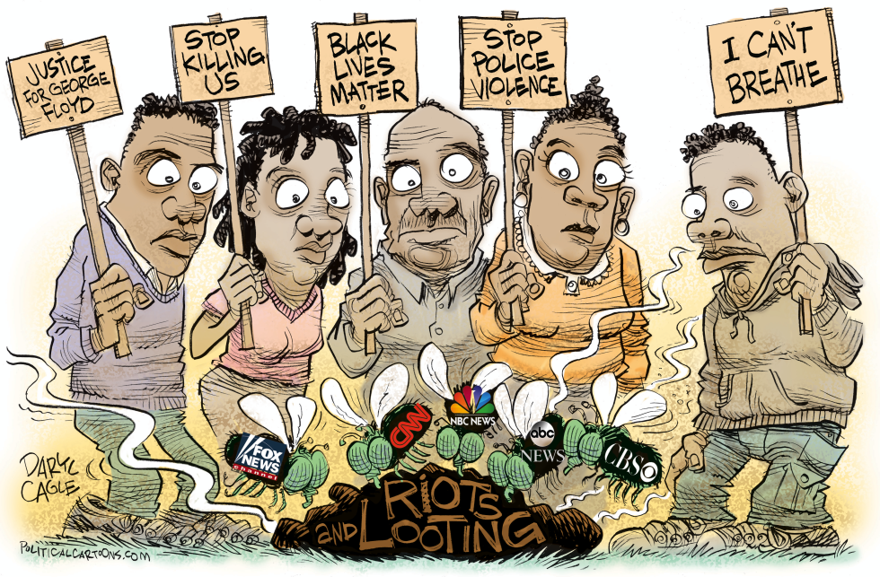 Media Flies Revised