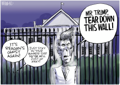MR. TRUMP, TEAR DOWN THIS WALL by Dave Whamond
