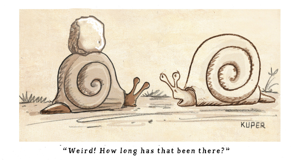 Snail's Pace