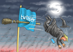 TRUMPS TWITTER FALL by Marian Kamensky