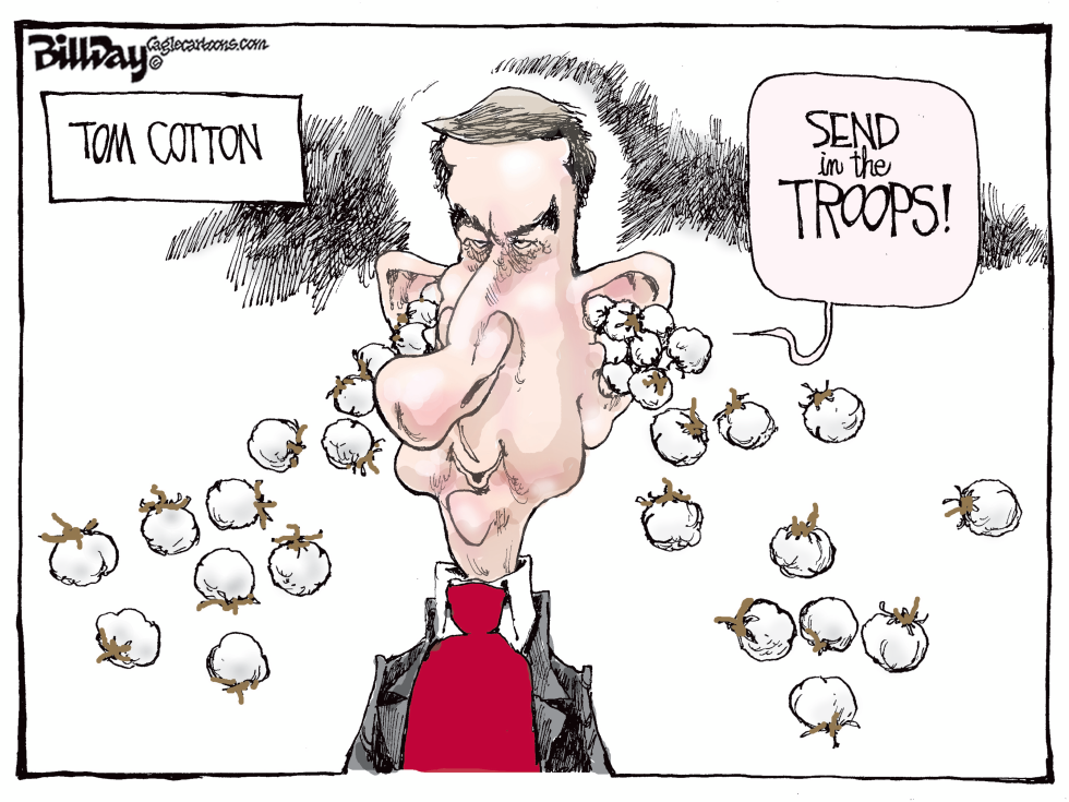 Tom Cotton