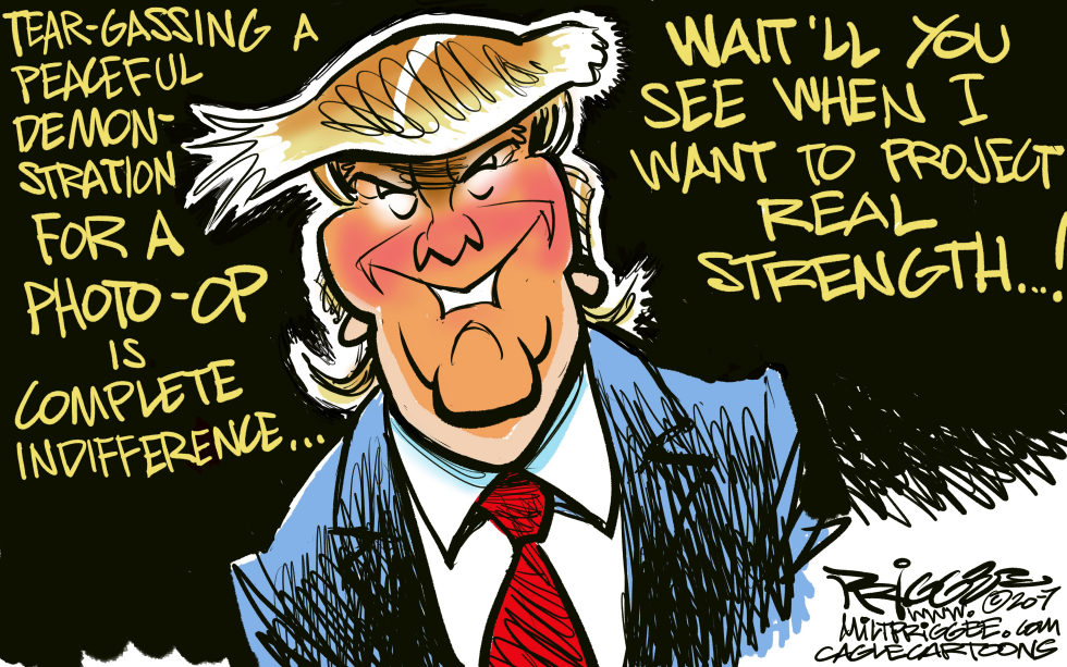 Trump Strength