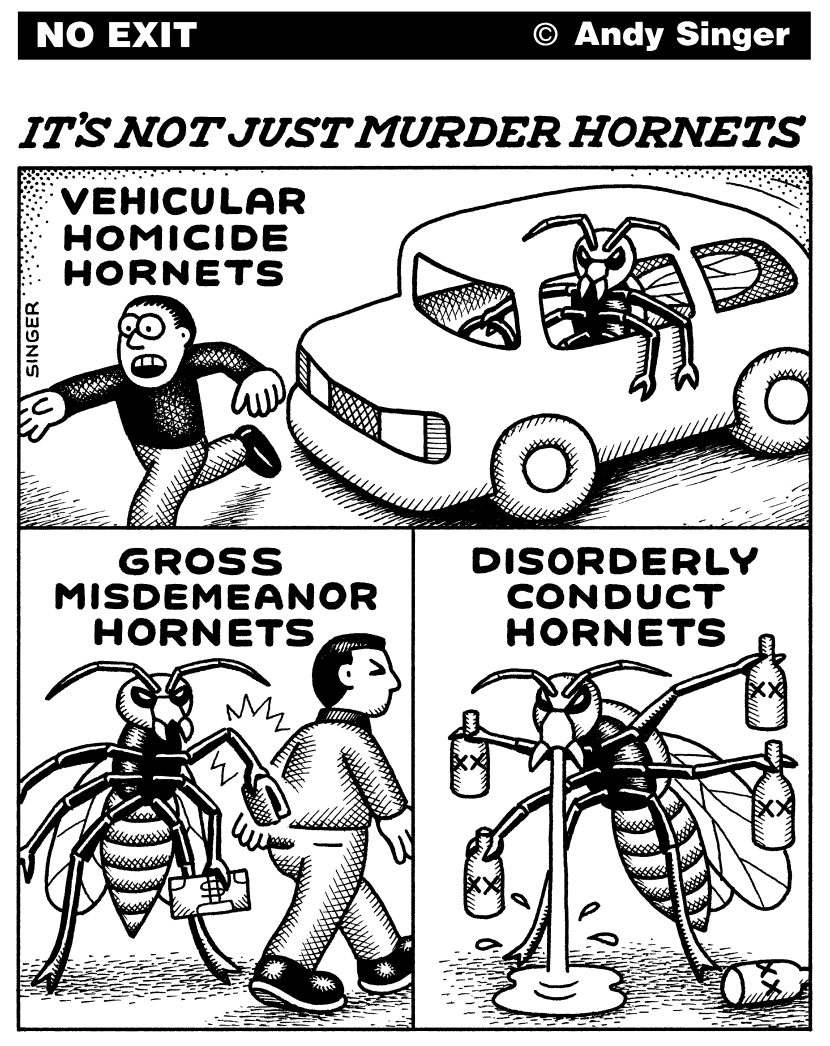 Not Just Murder Hornets