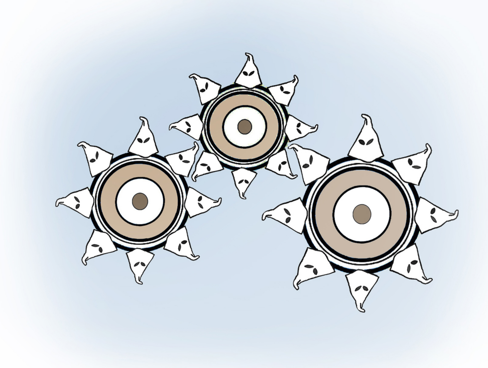 BIZARRE AND ANACHRONISTIC GEARS...