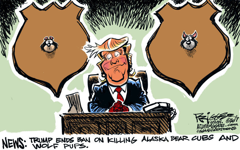 Cubs, pups and Killer
