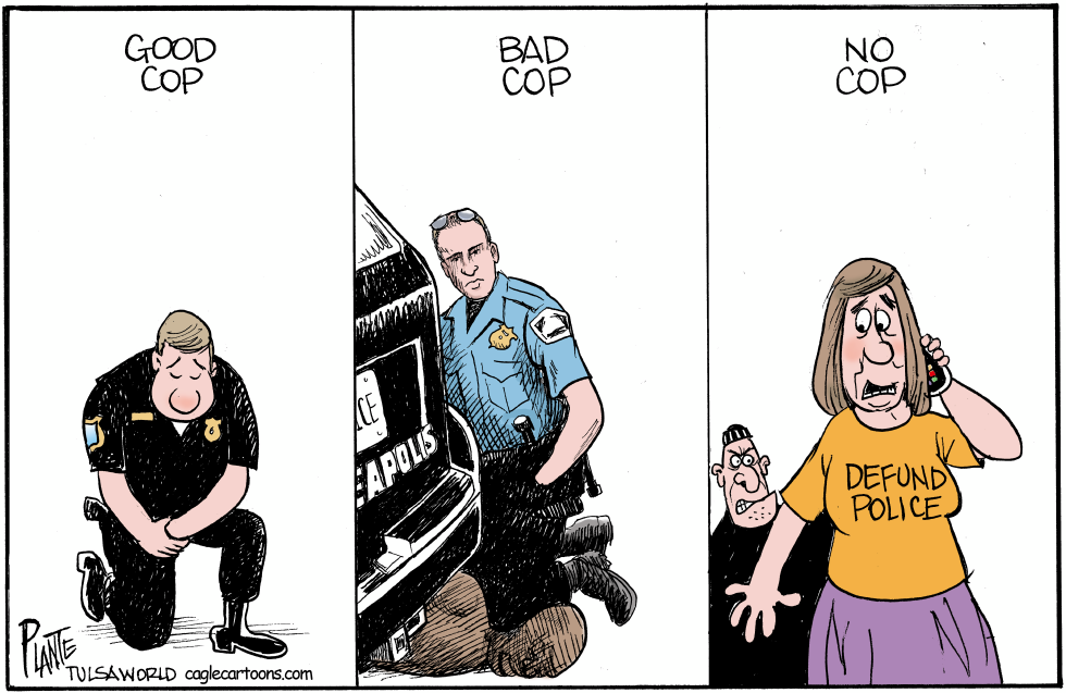 Defund Police?