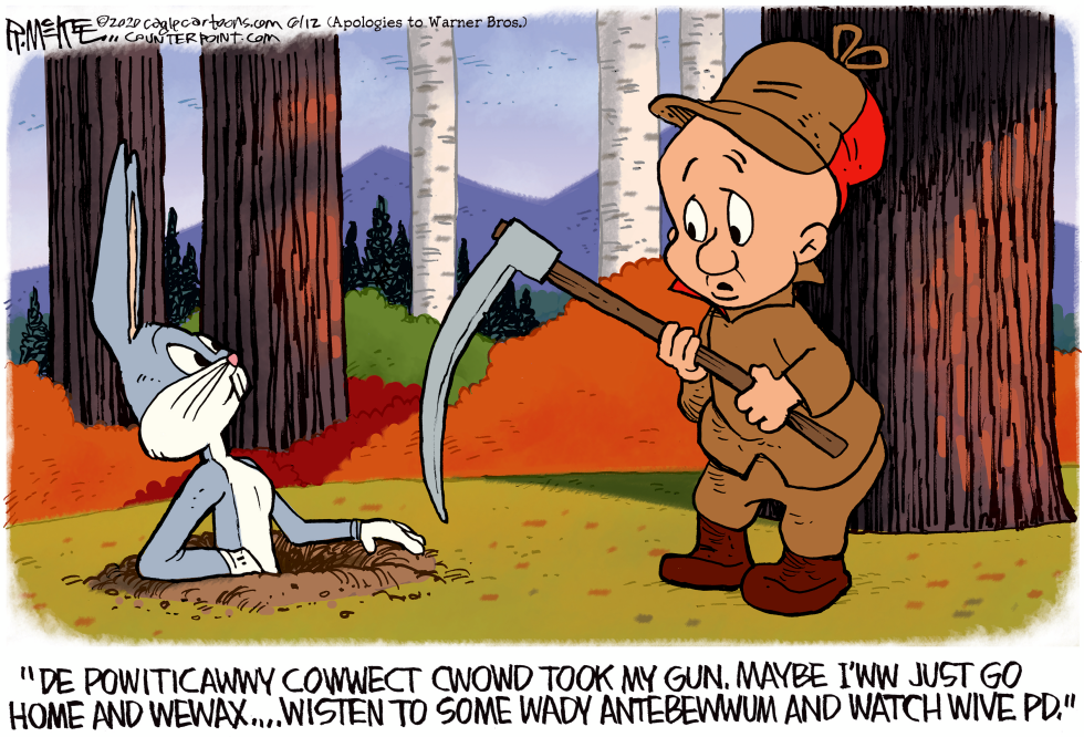 Elmer Fudd's Gun CORRECTION