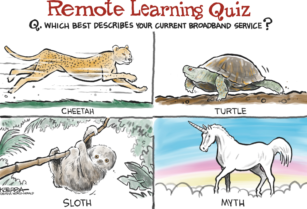 Remote Learning and the Internet