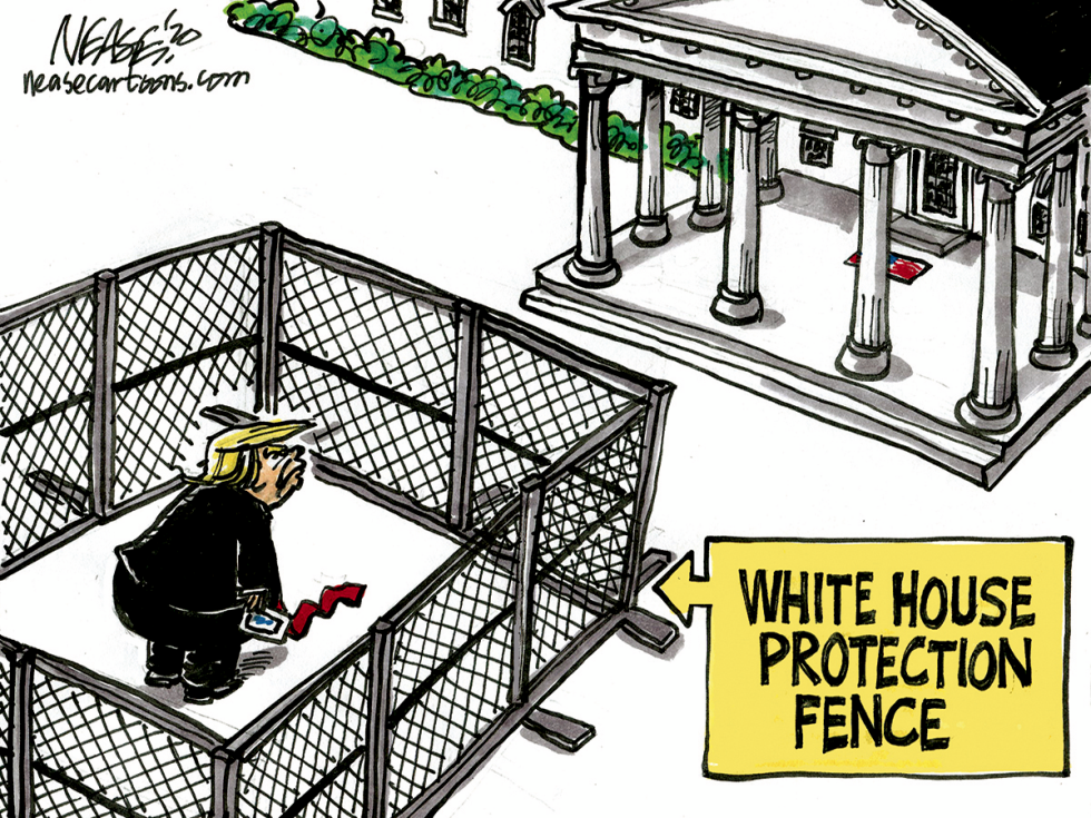 Protection Fence