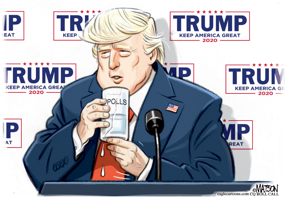 Trump Struggles to Lift Poll Numbers