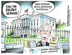 BOLTON TELL-ALL BOOK by Dave Granlund