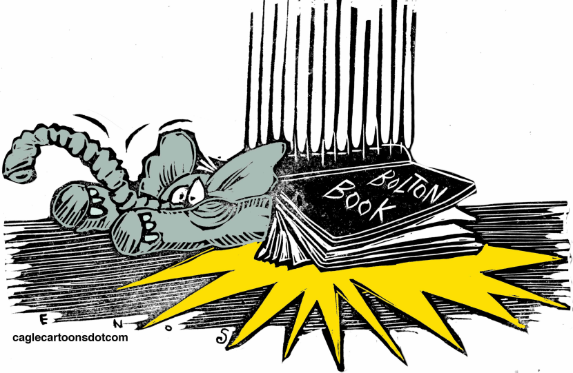 John Bolton Trump Book