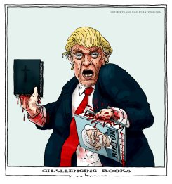 CHALLENGING BOOKS by Joep Bertrams