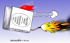 THE BOLTON BOOK by Arcadio Esquivel