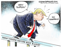 TRUMP SLIPPERY RAMP by Dave Granlund