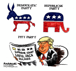 TRUMP AND THE SUPREME COURT by Jimmy Margulies