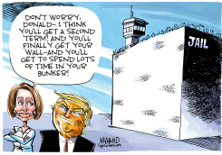 A SECOND TERM FOR TRUMP by Dave Whamond