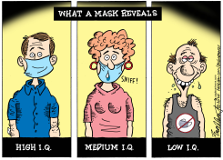 WHAT A MASK REVEALS by Bob Englehart