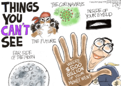 MNUCHIN CORRUPT by Pat Bagley