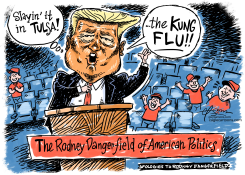 KUNG FLU by Guy Parsons