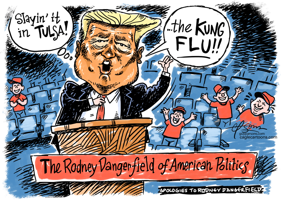 Kung Flu