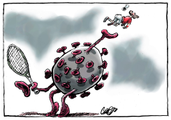 ADVANTAGE CORONA by Jos Collignon