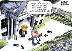 TRUMP AUTONOMOUS ZONE by Dave Whamond
