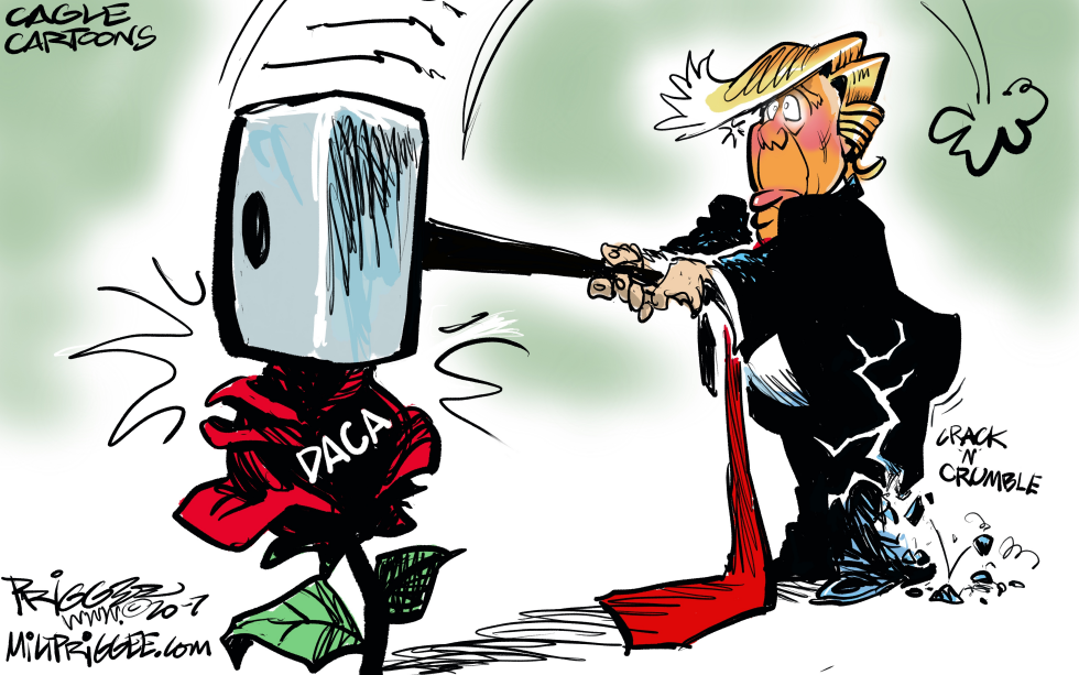 Rose DACA