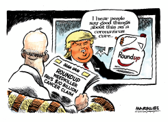 ROUNDUP WEEDKILLER by Jimmy Margulies