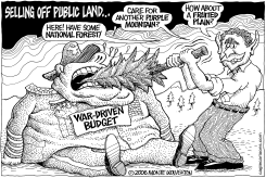 SELLING OFF PUBLIC LAND by Monte Wolverton