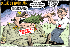 SELLING OFF PUBLIC LAND by Monte Wolverton