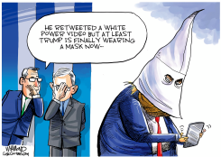 TRUMP UNMASKED by Dave Whamond