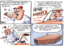 WHEN DID WEARING A MASK BECOME POLITICAL by Dave Whamond