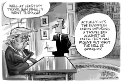 EU IMPOSES TRAVEL BAN ON US by Dave Whamond