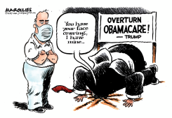 FACE COVERING by Jimmy Margulies