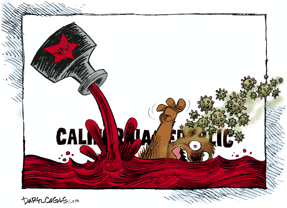 California Drowning in Red Ink and COVID